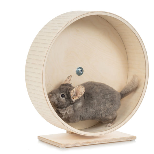 The Benefits of Using a Running Wheel for Your Small Animal