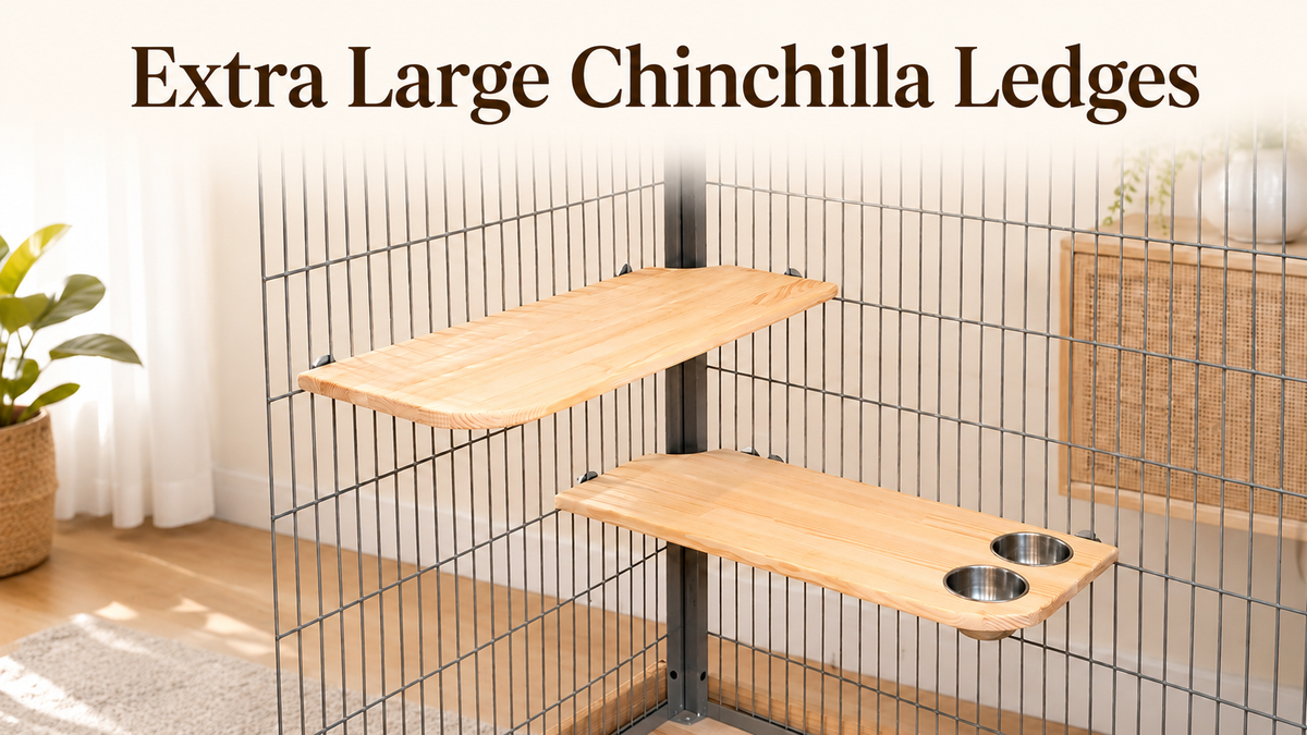AMIDA Craft Extra Large Chinchilla Shelves with Stainless Steel Bowls