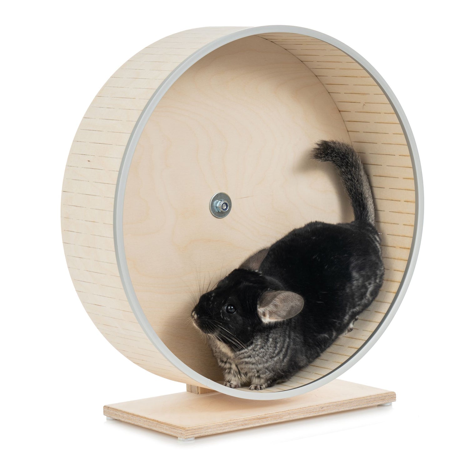 Chinchilla Wheel on a Stand– Silent, Safe, and Durable Exercise Wheel for Small Pets, Hedgehogs, Squirrels, Rats, and Degus