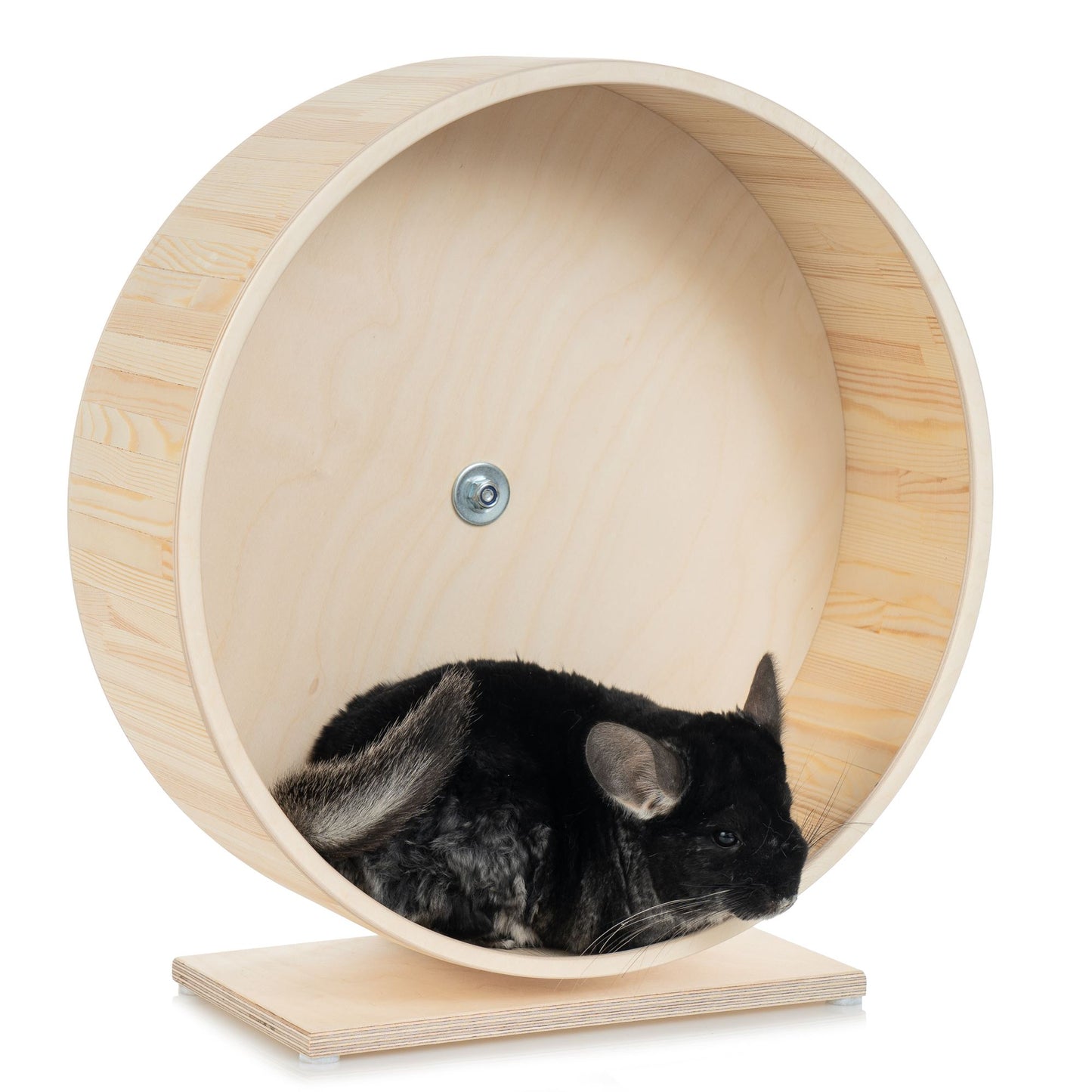 Chinchilla Running Wheel on a free-standing stand