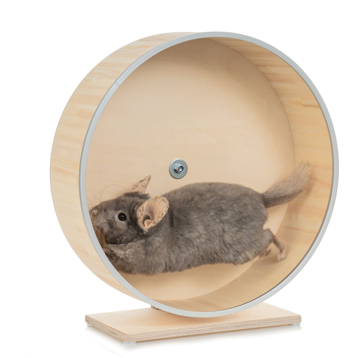 The Best Kiln-Dried Pine Chinchilla Running Wheel on a Stand