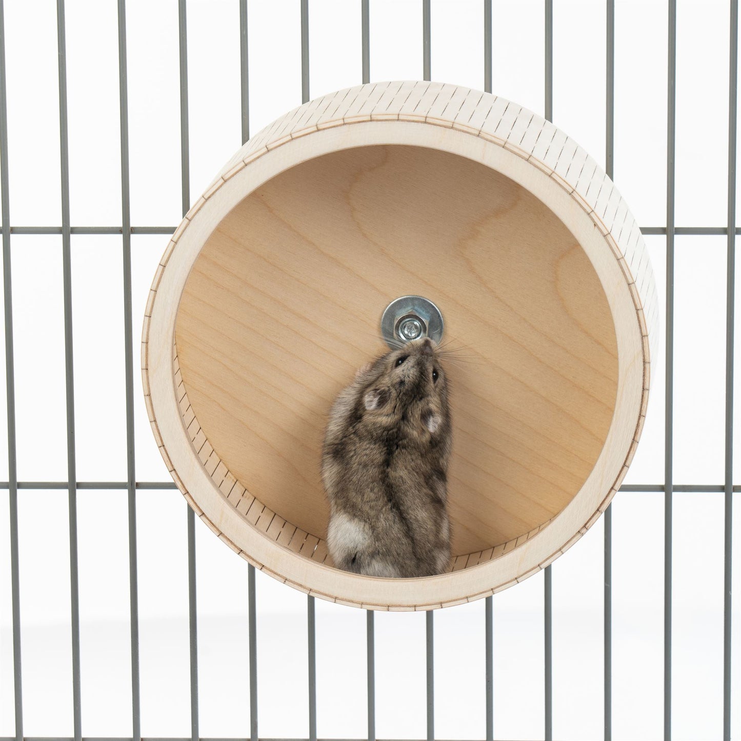 Running Wheel For Hamsters