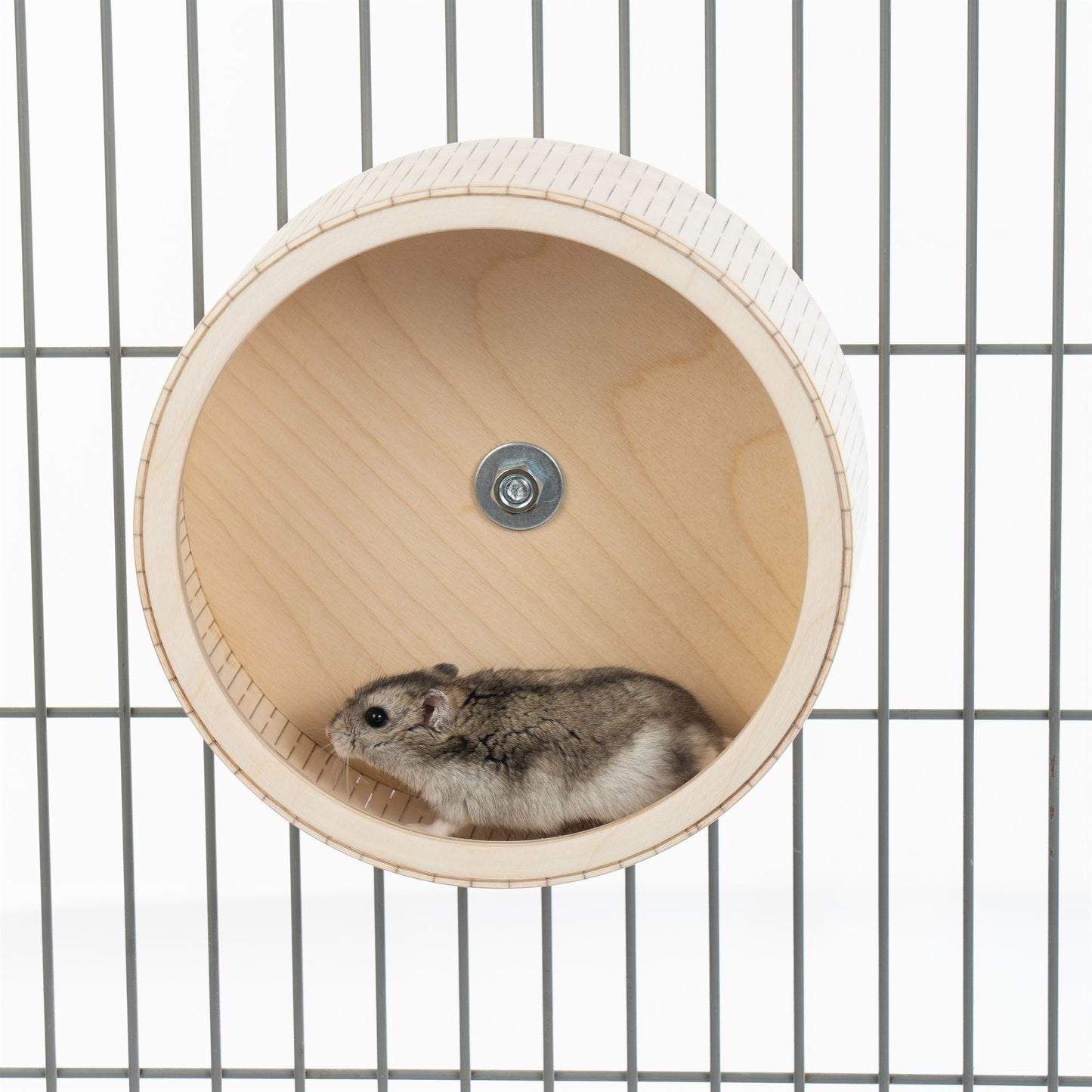Running Wheel For Hamsters