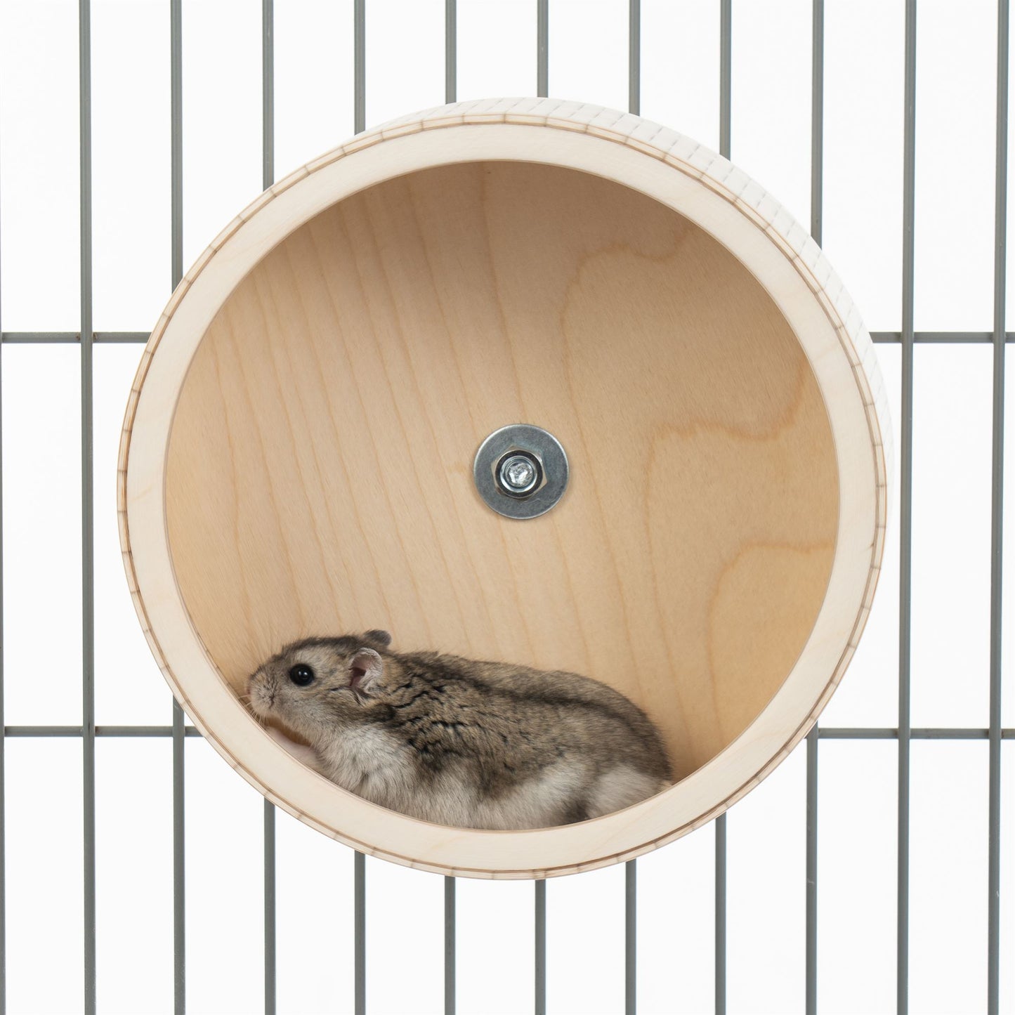 Running Wheel For Hamsters