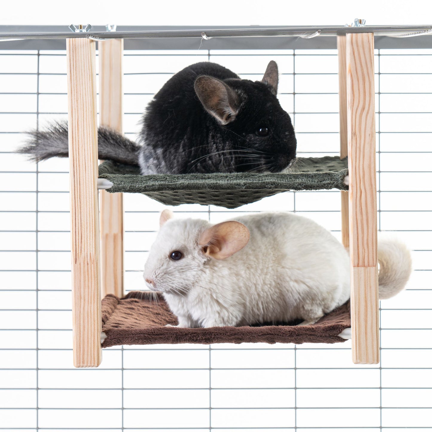 Chinchilla hammock