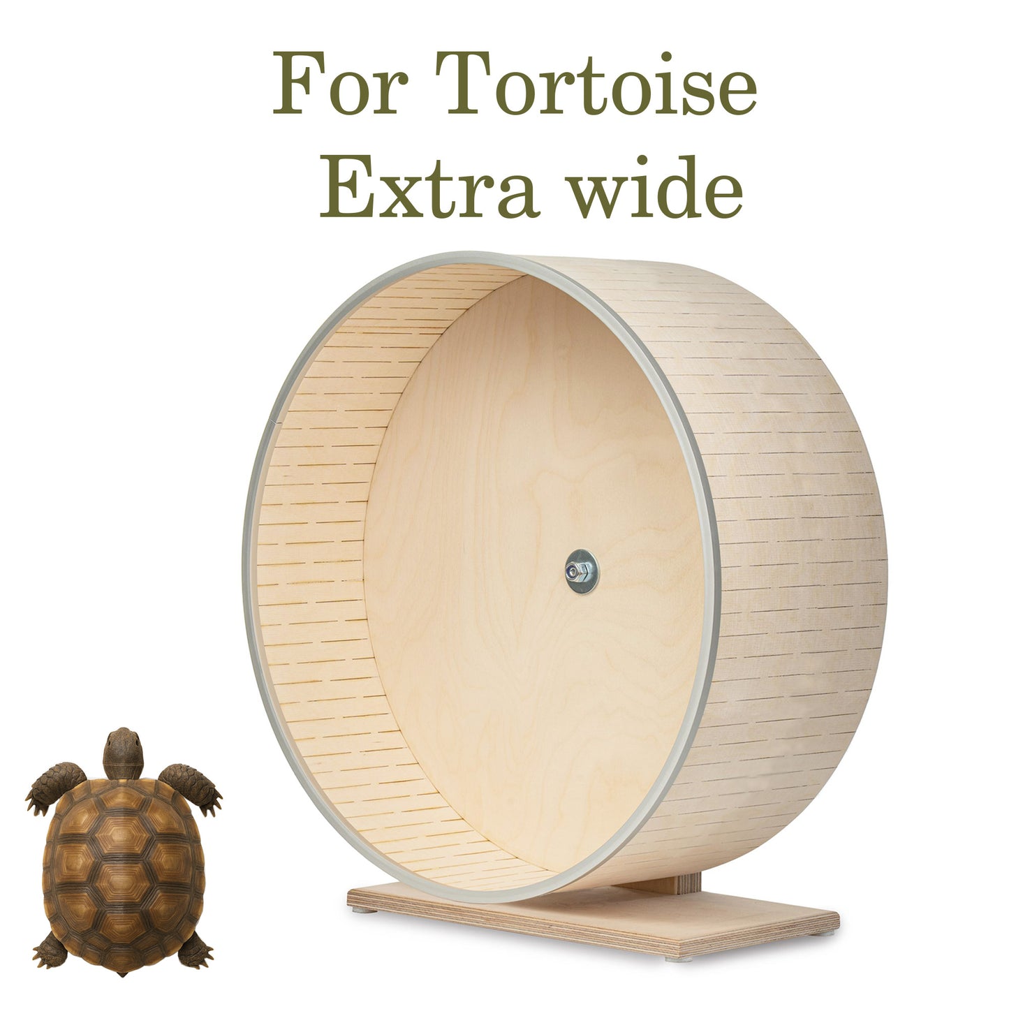 Extra-Wide Running Wheel for Tortoises and Small Pets 35 cm Diameter, 15 cm Wide, Silent Wooden Exercise Wheel with Stable Standing Base