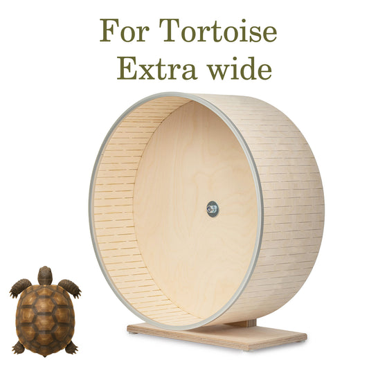 Extra-Wide Running Wheel for Tortoises and Small Pets 35 cm Diameter, 15 cm Wide, Silent Wooden Exercise Wheel with Stable Standing Base